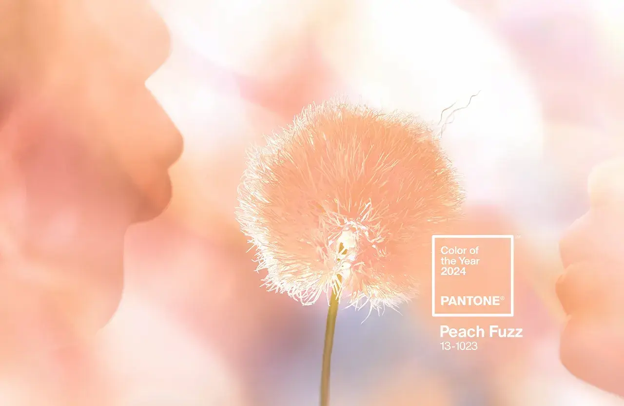 pantone-colore-dell-anno-2024.webp